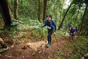 BIB: 
                            <button type="button" onclick="openModal(22467330)" class="btn btn-primary btn-sm float-right btn-popup" data-toggle="modal" data-target=".modal-high-quality">
                        <i class="fas fa-shopping-cart"></i> Add to Cart
                    </button>
                                            <button type="button" onclick="isThisMe(22467330, true)" class="btn btn-success btn-sm float-right btn-popup btn-isme hidden" data-toggle="tooltip" data-placement="bottom" title="นี่คือรูปของคุณใช่ไหม คลิกที่นี่เพื่อเอาเข้าอัลบั้ม">
                        <i class="fas fa-plus"></i> Add to album
                    </button>
                    <button type="button" onclick="isThisMe(22467330, false)" class="btn btn-warning btn-sm float-right btn-popup btn-isnotme hidden">
                        <i class="fas fa-ban"></i> Remove from album
                    </button>